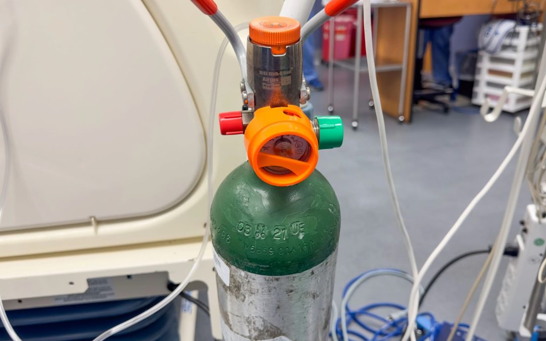 Multiple Oxygen Tank Transport: Choosing the Right Cart for Your Facility